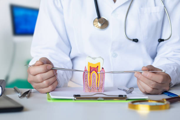 Best Emergency Dental Care for Sports Injuries in Vermillion, SD